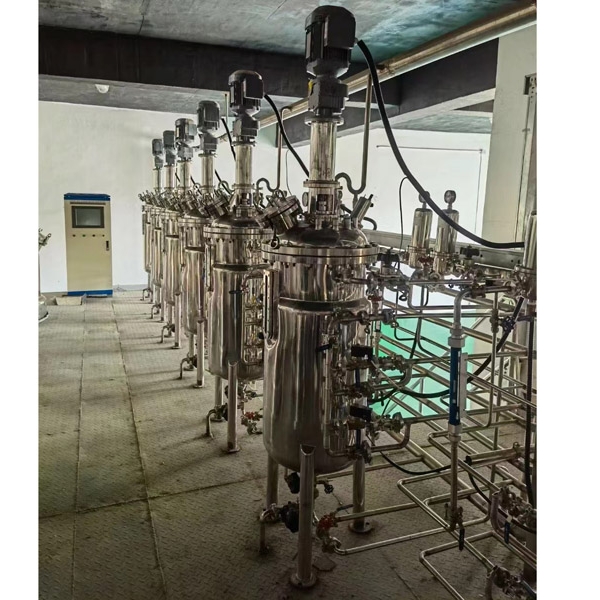 實驗室生物發(fā)酵罐